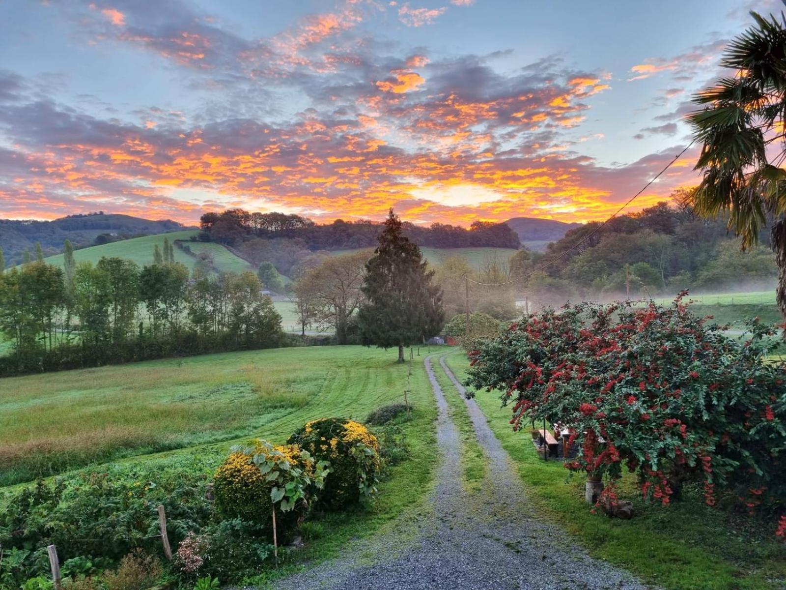 "Chez Naty" Chambres D'Hotes Au Pays-Basque Cheraute Buitenkant foto