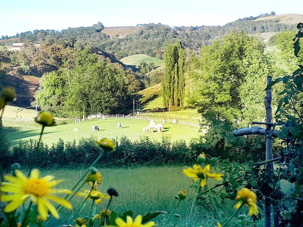 "Chez Naty" Chambres D'Hotes Au Pays-Basque Cheraute Buitenkant foto